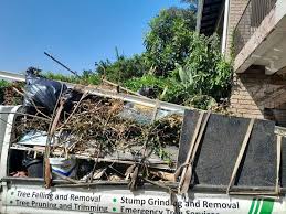 Best Shed Removal  in Chicago, IL